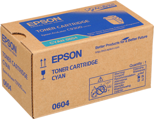Epson C13S050604