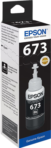 Epson C13T67314A