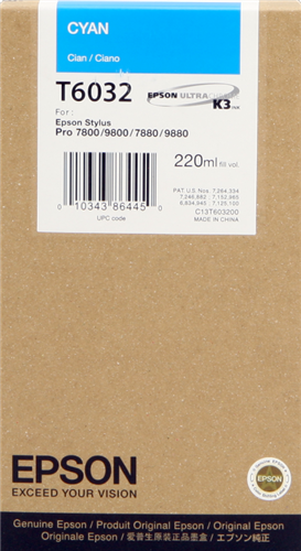 Epson C13T603200