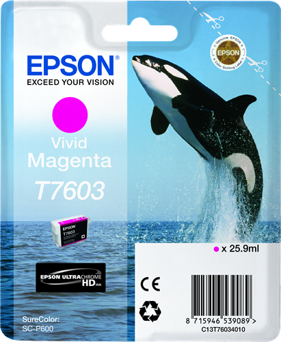 Epson T7603 Magenta Druckerpatrone