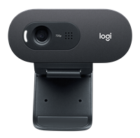 Logitech C505e HD Webcam Schwarz